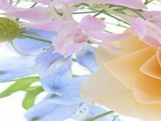 DON JUAN rad bi ti rekel nekaj lepega