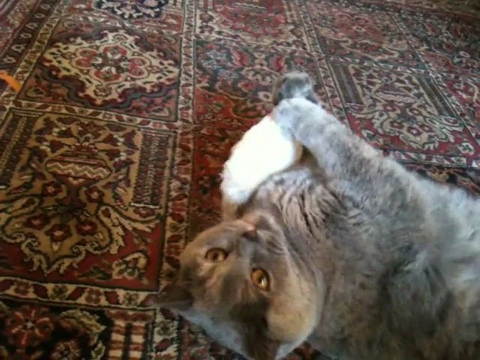 Coussin qui pue, i love you