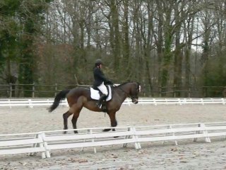 Gaelle sur Jalap-06.02.11 dressage amateur3-CE Laval-
