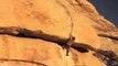 Rock Climbing - Joshua Tree
