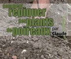 Comment repiquer des plants de poireaux