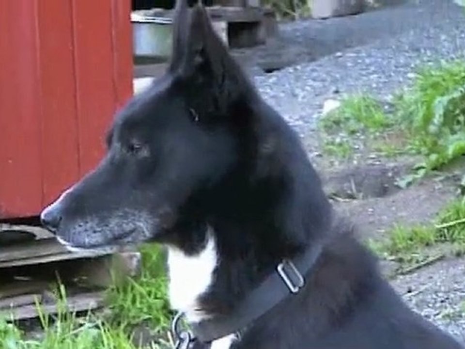 2002 Mon voyage chez Robert Sorlie en Norvége