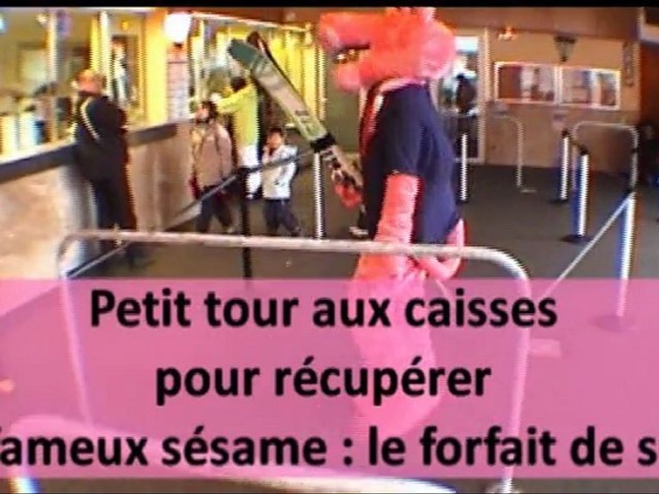 Mais que fait la Panthère Rose à Toulouse....?