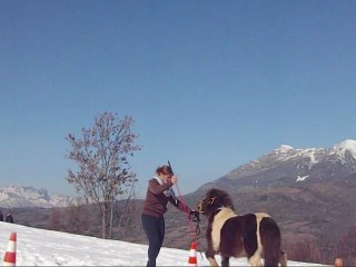 slalom en arriére, loustic