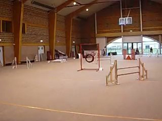 0211_Isbergues_Jumping_Algy