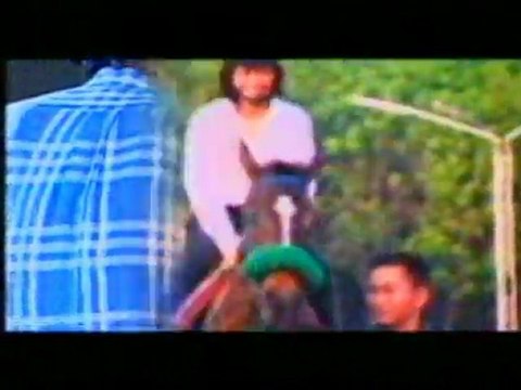 Title ลูกสาวเจ้าพ่อ (2540)