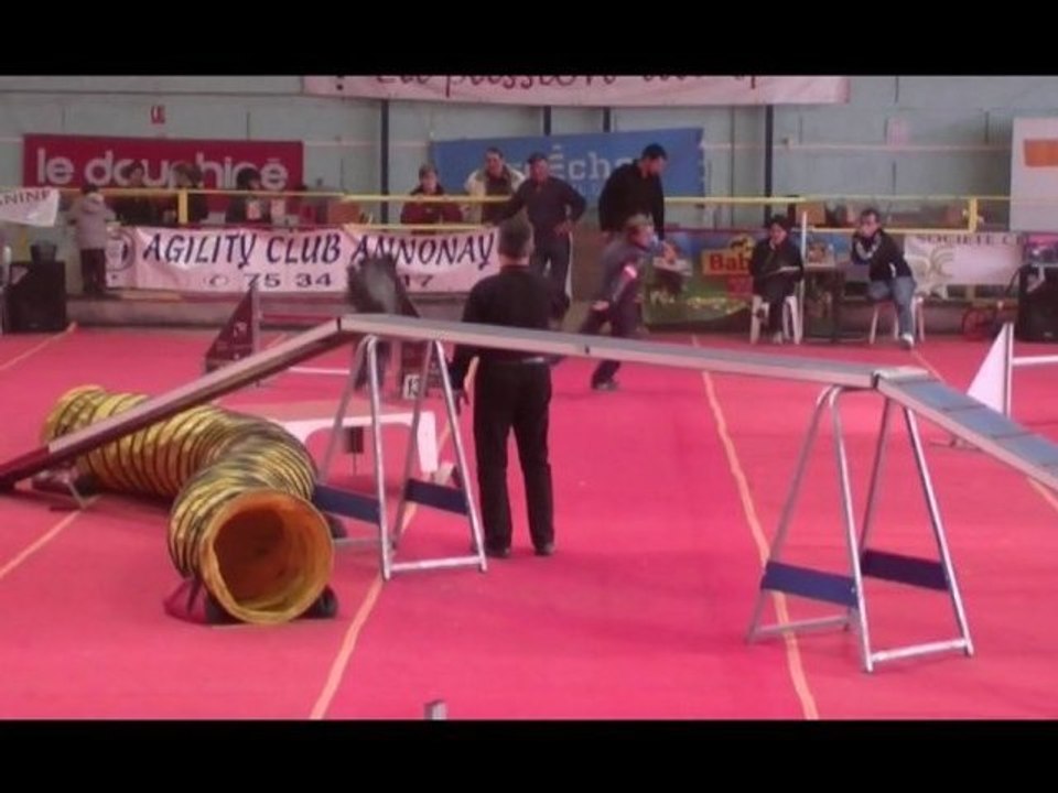 Umberto Agility Annonay Spécial Briard 12/02/2011