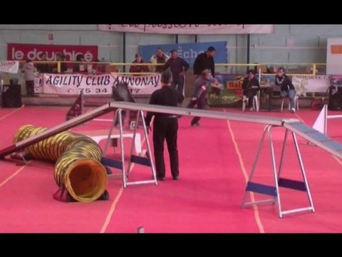 Umberto Agility Annonay Spécial Briard 12/02/2011