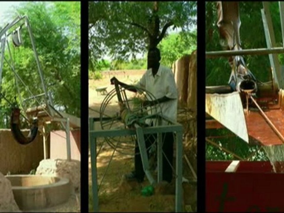 Et le désert refleurira