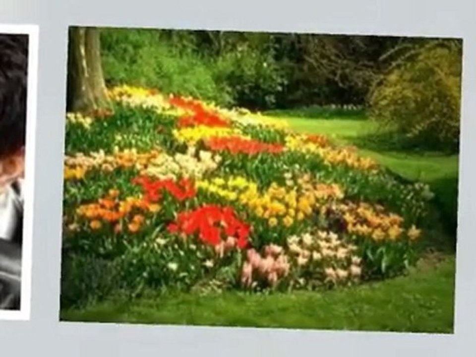 Ahmet Selçuk İlkan Baha Sen Uyurken Sabahçı