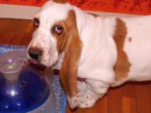 Fais pas ci-Fais pas ça chez Elle