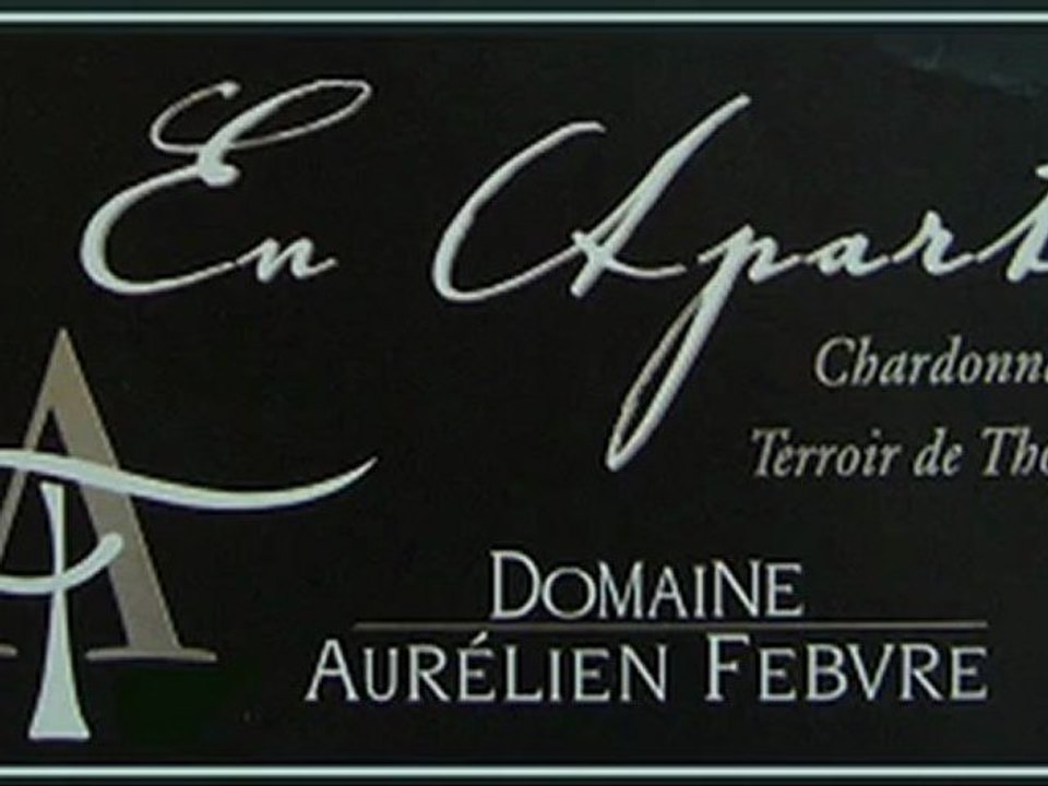 Viticulture bio en Bourgogne-Auxois - Aurélien Febvre (2)