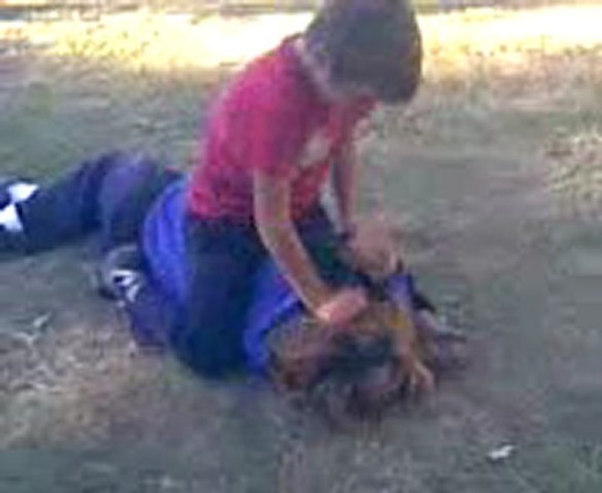 Pelea'!