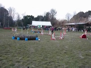 Vodka - Jumping+  Martigues 13-02-11