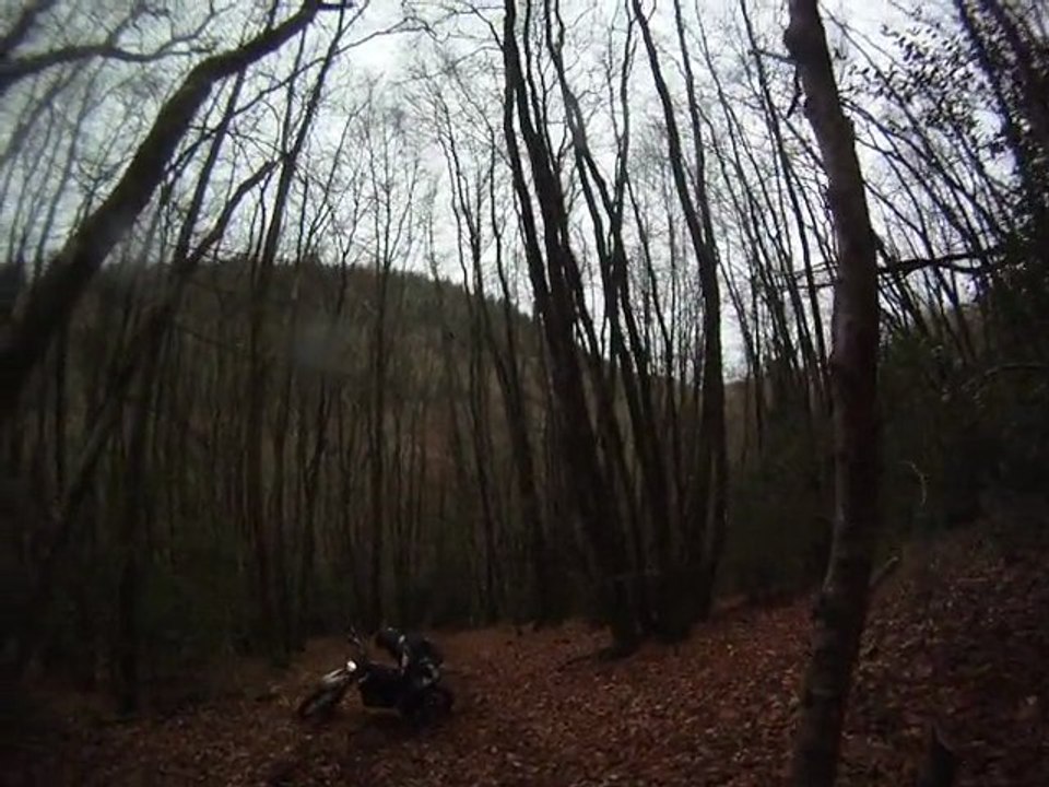 Montée 1 après canne aux loups