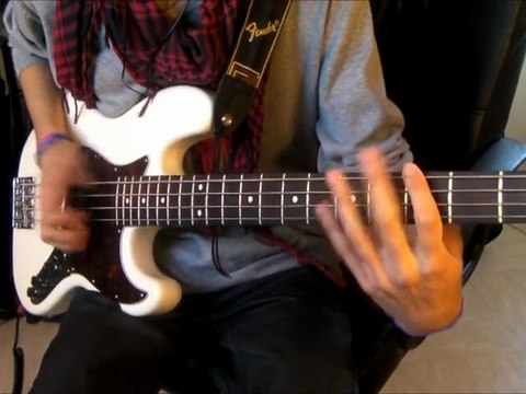 Aeroplane - Red Hot Chili Peppers [ BASS COVER ]