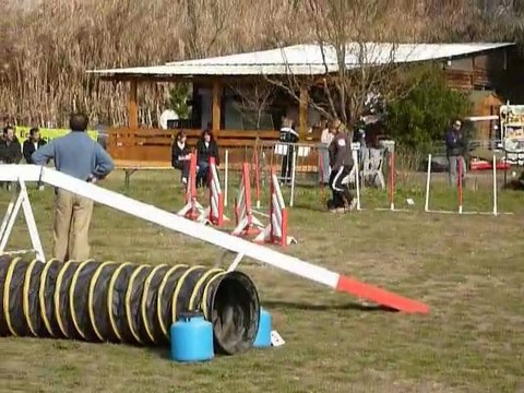 Bambou - 2e degre Martigues 13-02-11