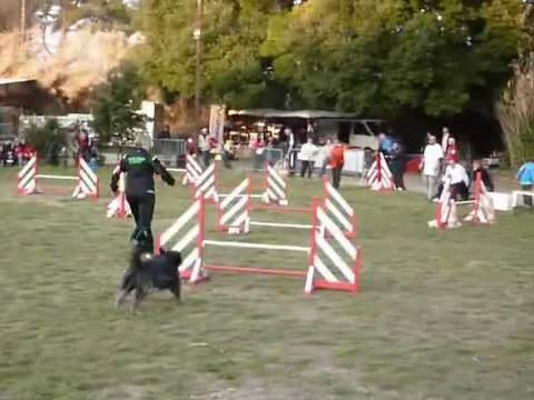 Defi - Jumping Martigues 13-02-11