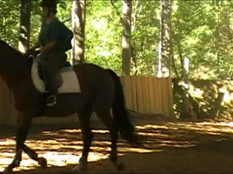 Julie et Jacinto anim' dress septembre 2010 galop 5