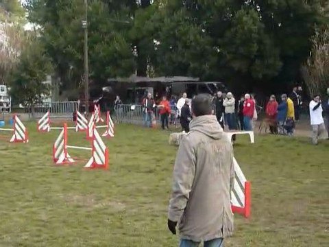 Taz - Open+ Martigues 13-02-11