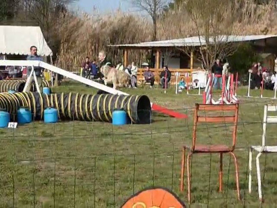 Taz - GPF Martigues 13-02-11