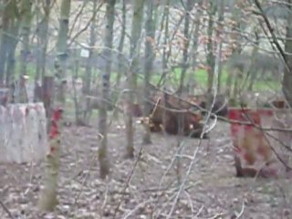 Photo 052