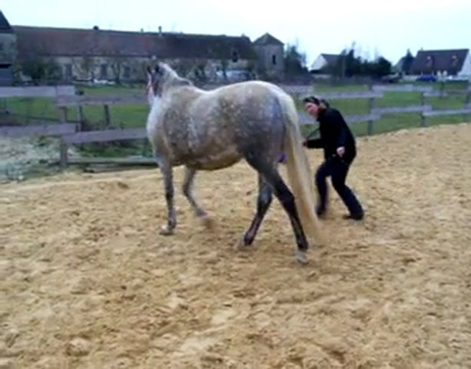 Pakita déplacement latéral liberté (février 2011)