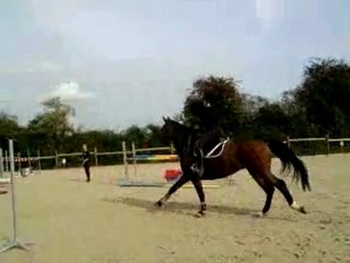 Solène et Quantus enchainement