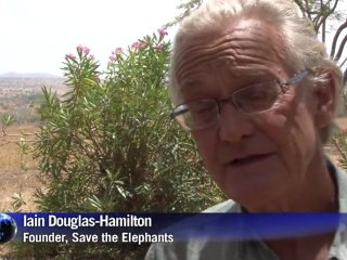 Preocupa a conservacionistas el incremento del precio del marfil