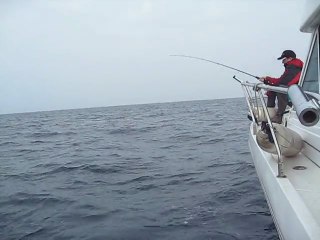 3 poissons de Palavas