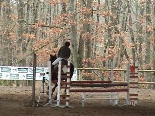 Ninou - 2nd passage - Concours La Source - 13/02/2011