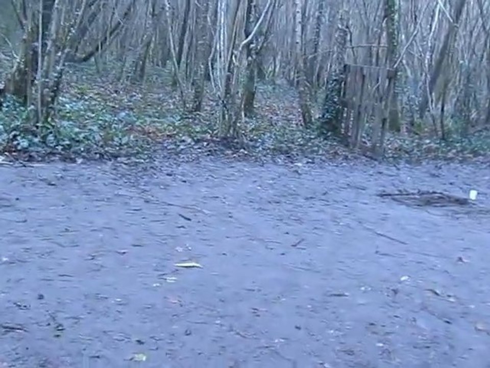110214_Tawa vers Corbeil-Cerf (11h22) 8/8