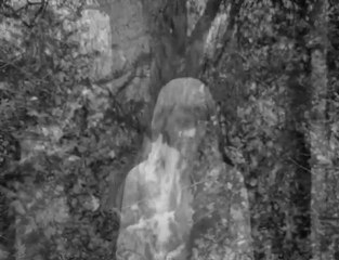 Arduinna - Memento Mori