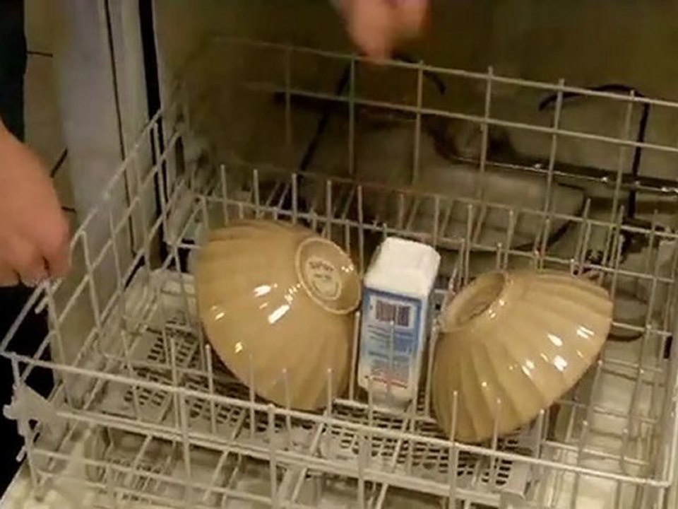 Dishwasher Repair