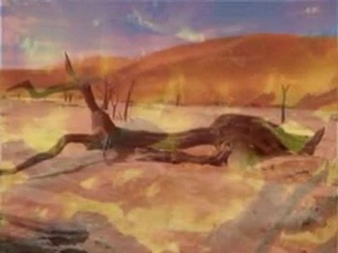 YAĞMUR DURSUN ALİ ERZİNCANLI