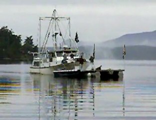 Pirates in the Cove