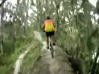 Loyce E. Harpe MTB - Horseshoe - Puff-N-Stuff - Moonwalk