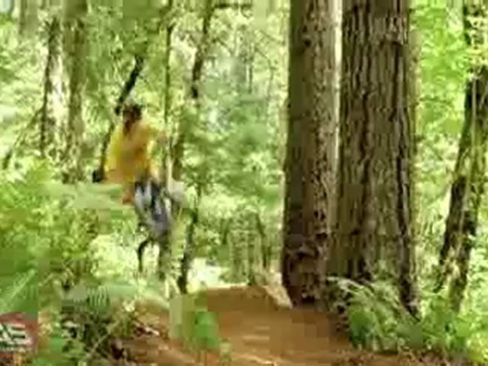 NWD 10 - New World Disorder 10 - Freeride Film in HD 2009-2010 Mountain Bike