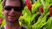 Salomon Freeski TV Episode 11 - Season 3 - Wave Skiing in Maui