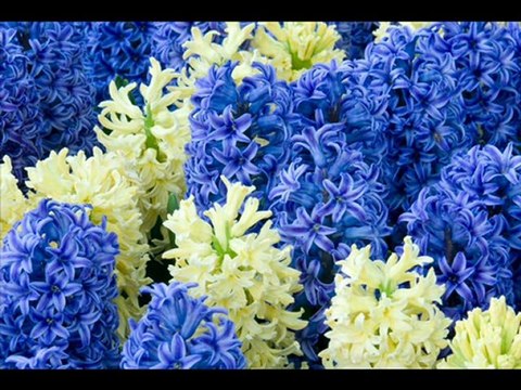 Çagdaş_MAHZUNİ_yine efkar bastı