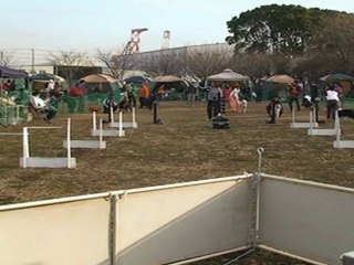 20110123　JFPS千葉ポートパーク（9）