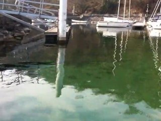 1ère sortie lac chouchou 1 vidéo2