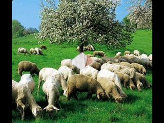 Çadaş_MAHZUNİ_sen bir ceylan olsan.