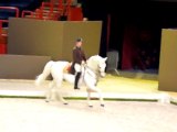 Ecole Espagnole d'équitation de Vienne, Bercy 2011. Pas de 2