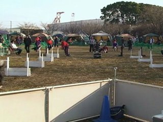 20110123　JFPS千葉ポートパーク（8）