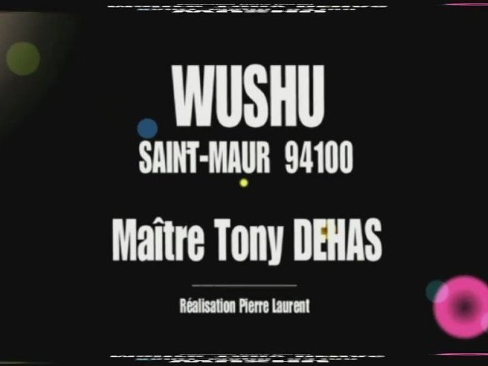 WUSHU Saint-Maur compilation Tony DEHAS 10 02 2011(1)