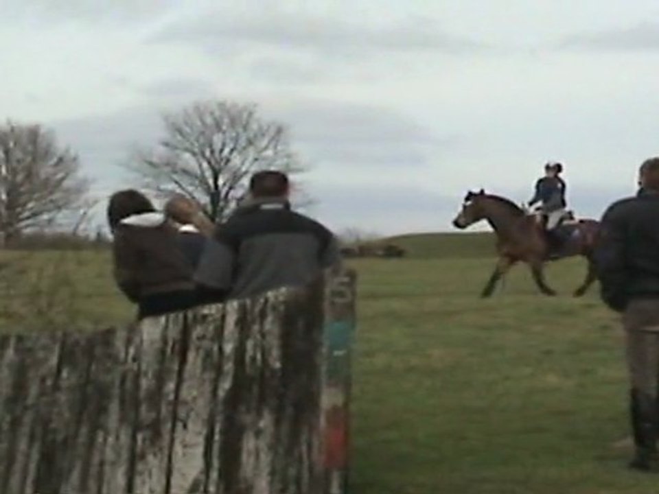 COMPLET - PONEY NEW FOREST NE EN 2004 - 1m45 - TROU AU TROT