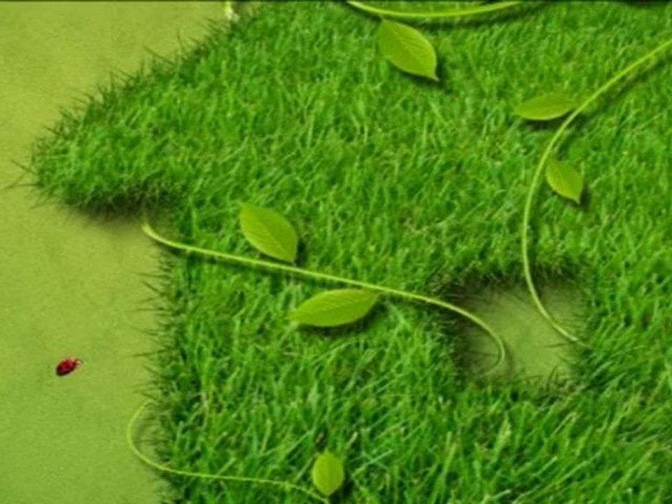 Télécolo, les Ampoules basse consommation