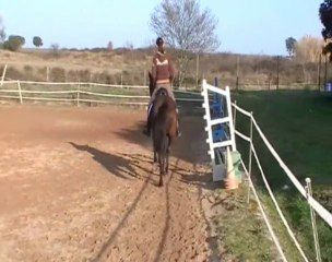 Jument Pure Race Lusitanien à vendre