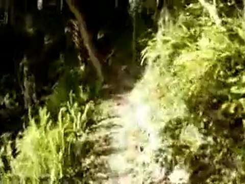 Loyce E. Harpe MTB Trails - BABY BEAST, SNAKE RIDGE & SNEAKY SNAKE